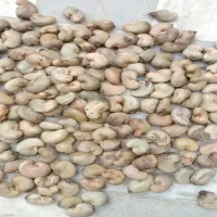 organic-raw-cashew-nuts-1000x1000